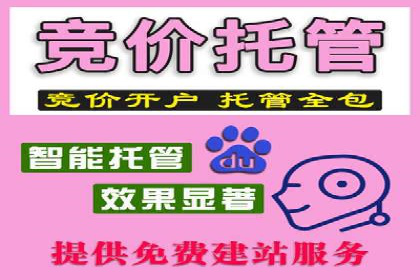 某行业SEM主管的优化策略与成果展示